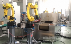 NMT-ZP-108 疫苗玻璃瓶小型预热加固化自动装配线(苏州?？松?